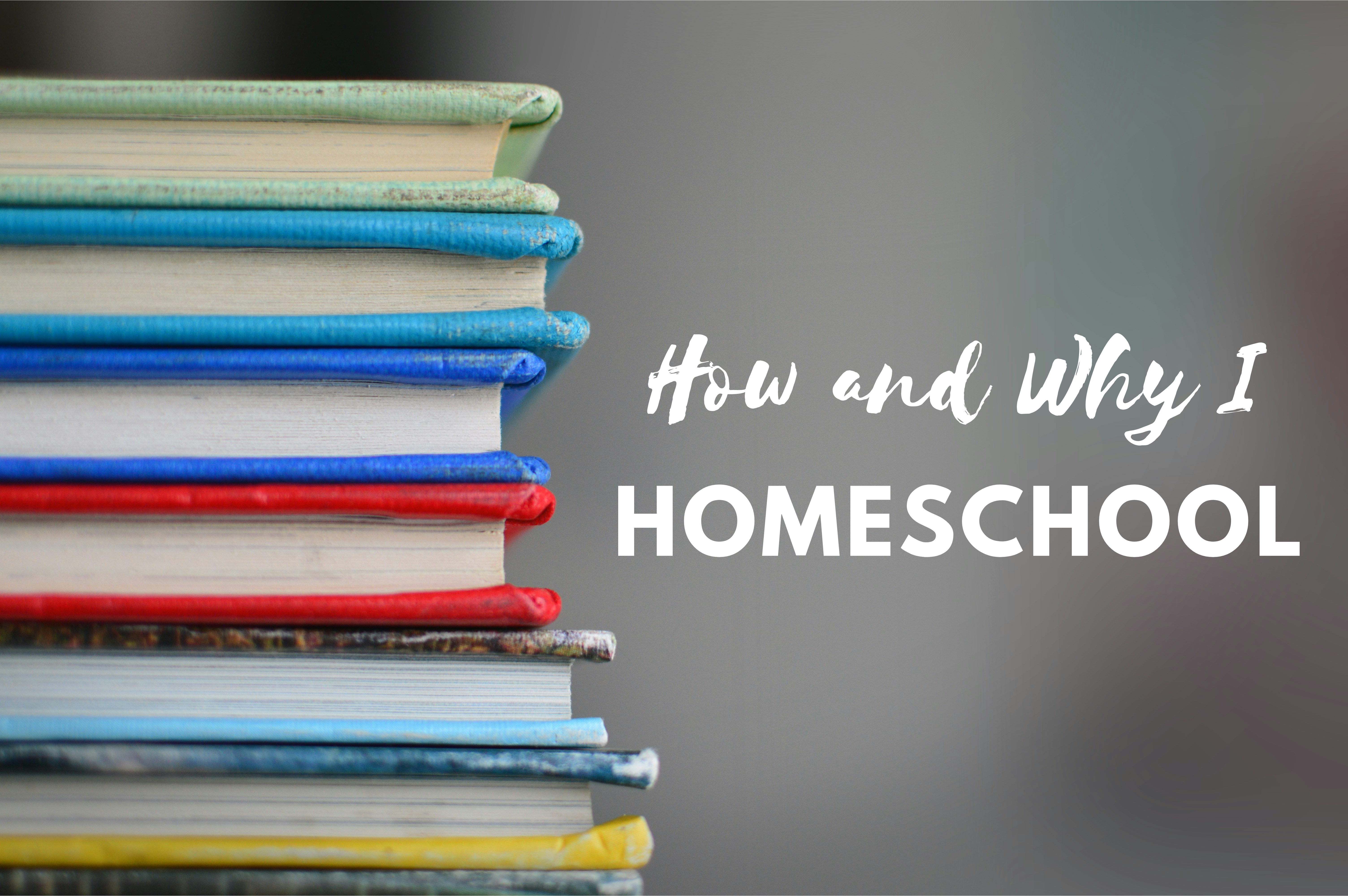 Why and How I Homeschool