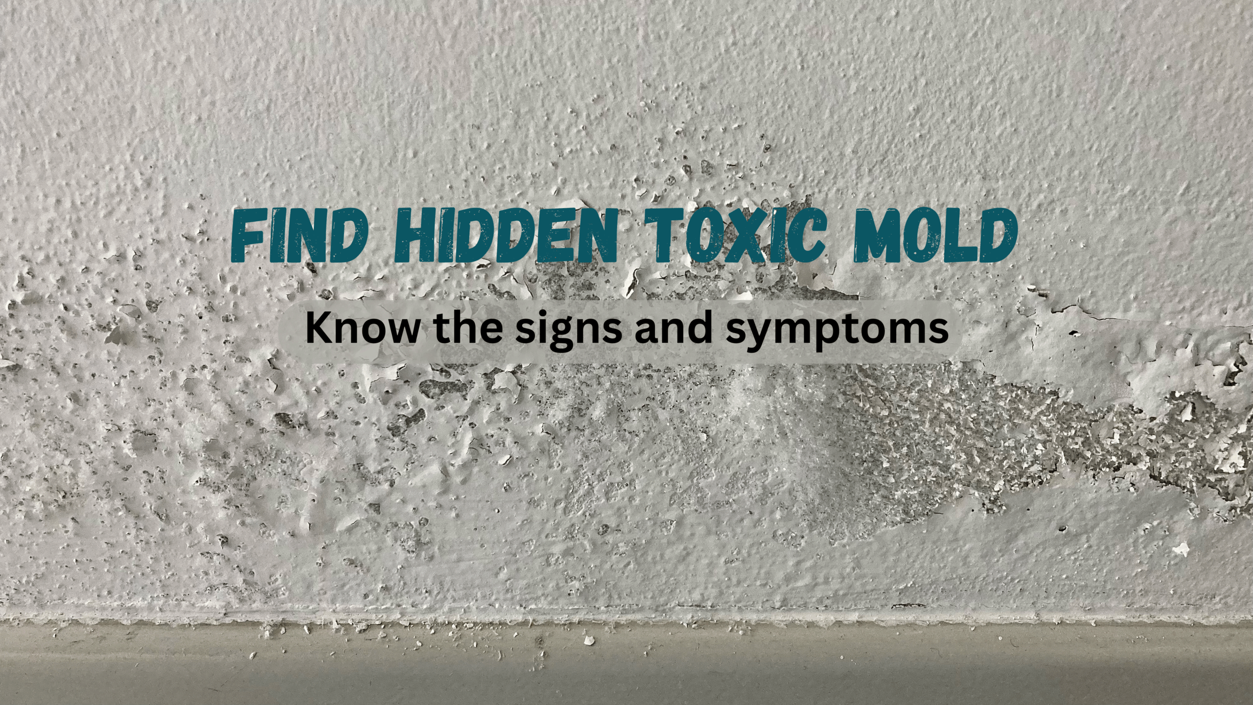 Uncovering Mold: Our Story