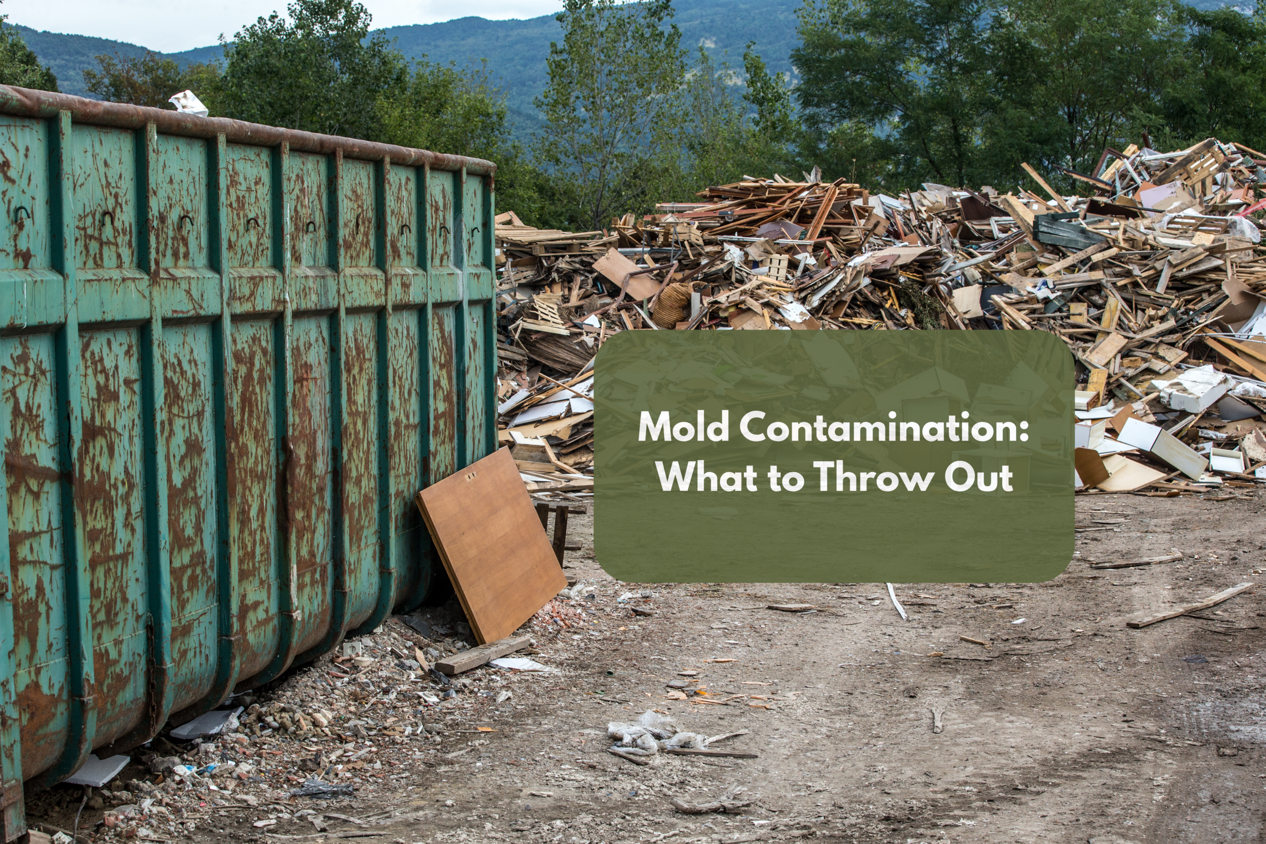 Leaving Mold: Should You Throw It All Away